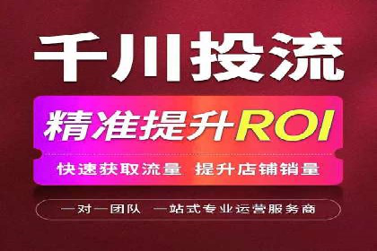 成功运用SEM技术提升网站流量的案例研究